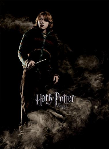 Harry Potter / Article N°3