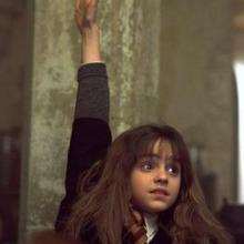 Sang-de-bourbe (toujours dans Harry Potter)