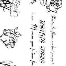 Coloriage F�te des m�res: les fleurs des champs - Coloriage - Coloriage FETE DES MERES - Coloriage CARTE FETE DES MERES