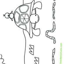 Coloriage de la tortue et les vers de terre - Coloriage - Coloriage ANIMAUX - Coloriage ANIMAUX MARINS - Coloriage TORTUE - Coloriage TORTUE A IMPRIMER