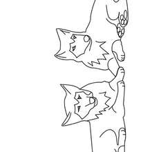 Coloriage d'un couple de loups