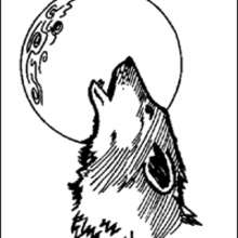 COLORIAGES ET REPORTAGES SUR LE LOUP - Actualit�s