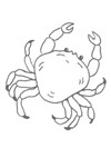 crabe1
