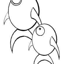 Coloriage de deux poissons - Coloriage - Coloriage ANIMAUX - Coloriage ANIMAUX MARINS - Coloriage POISSON