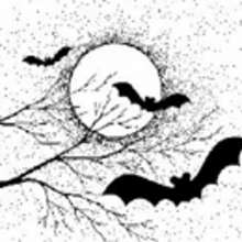 La chauve-souris et Halloween