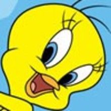 Coloriage TITI ET GROSMINET - Coloriage BOOMERANG - Coloriage