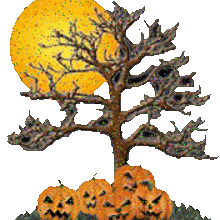 La ronde des sorci�res (de Yann Walcker) - Lecture - Po�sies pour enfants - Po�sies d'Halloween