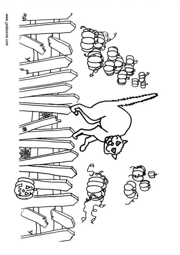 Coloriage d'un chat d'Halloween