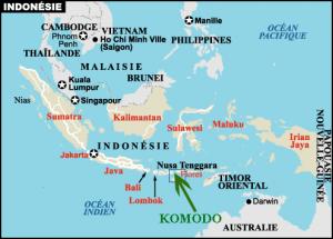 le-dragon-du-komodo