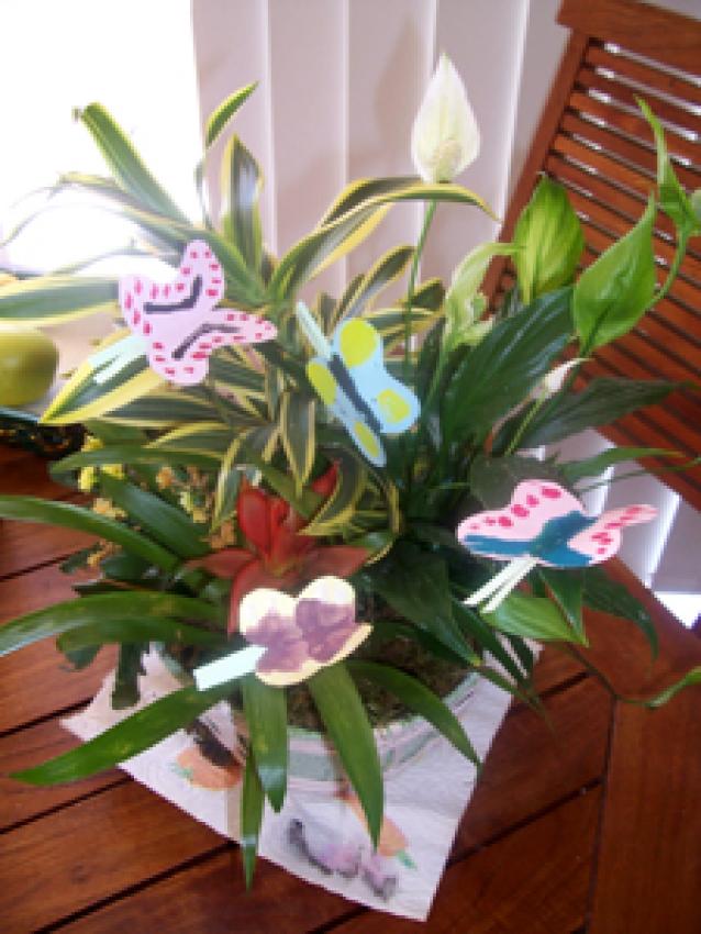 La plante à papillons - Activités - Bricolage - Objets de décoration