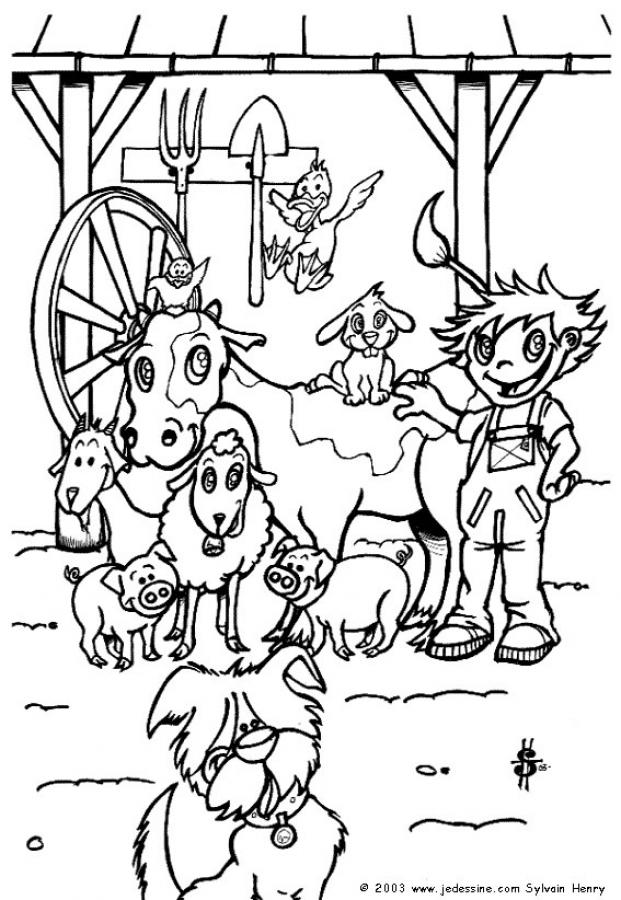 animalerie