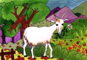 Chèvre - Dessin - Illustrations pour enfants - Animaux