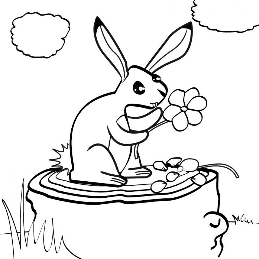 Coloriage d'un lapin - Coloriage - Albums de 10 COLORIAGES - 10 coloriages pour les petits