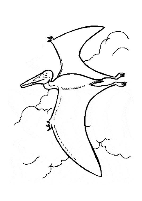 Coloriages pterodactyle - fr.hellokids.com