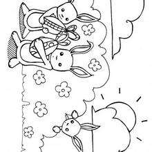 Coloriage de lapins et oeufs de P�ques - Coloriage - Coloriage PAQUES - Coloriage LAPINS DE PAQUES