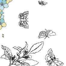 Coloriage de papillons qui volent - Coloriage - Coloriage ANIMAUX - Coloriage ANIMAUX A IMPRIMER