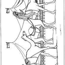 Coloriage de dromadaires en file indienne - Coloriage - Coloriage ANIMAUX - Coloriage ANIMAUX AFRIQUE - Coloriage DROMADAIRE