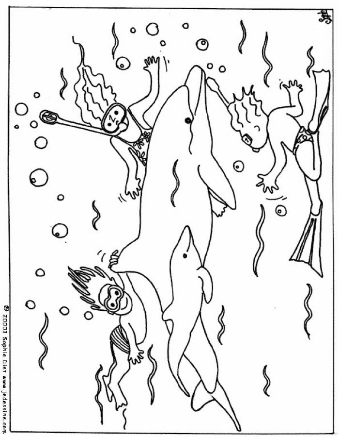 enfants-au-milieu-des-dauphins