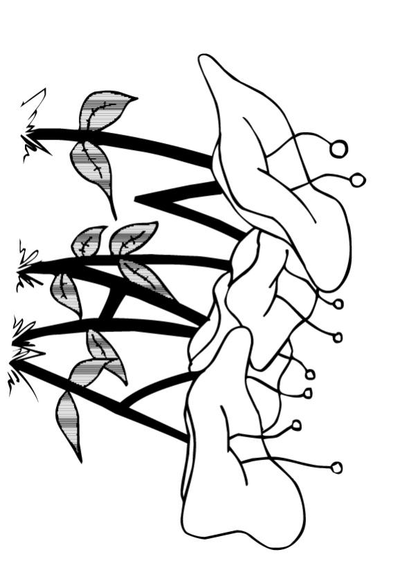 Fleur 1 - Coloriage - Coloriage de fleurs