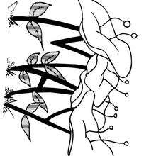 Coloriage de fleurs