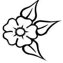 Coloriage d'une fleur - Coloriage - Coloriage NATURE - Coloriage FLEUR - Coloriages FLEURS