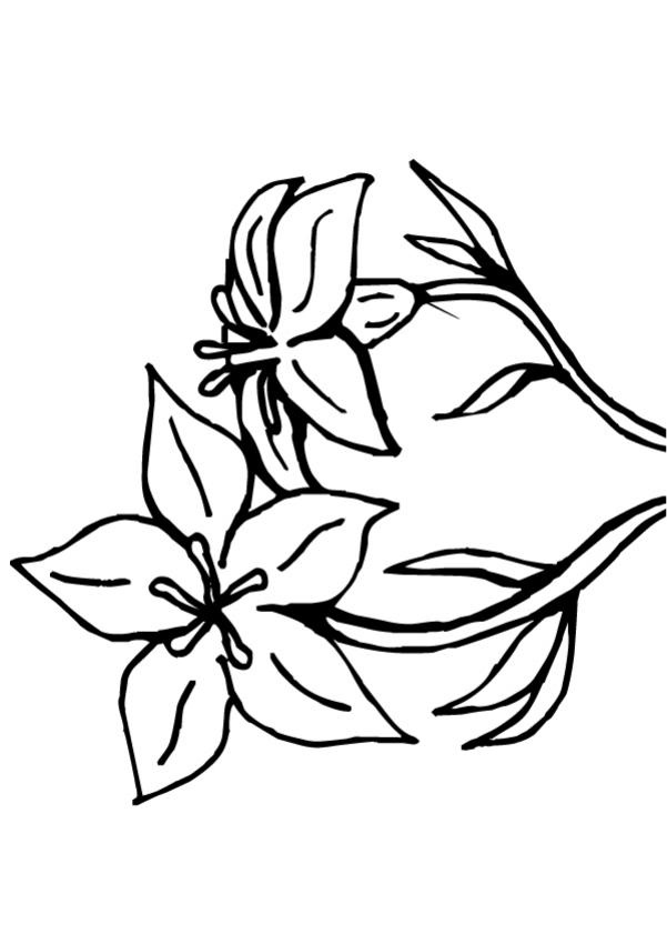 Fleur 9 - Coloriage - Coloriage de fleurs