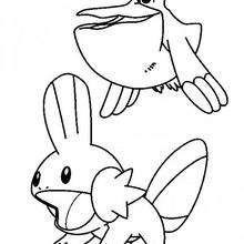 Gobou - Coloriage - Coloriage POKEMON