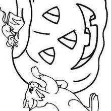 Coloriage de la citrouille et des chats - Coloriage - Coloriage FETES - Coloriage HALLOWEEN - Coloriage CITROUILLE HALLOWEEN