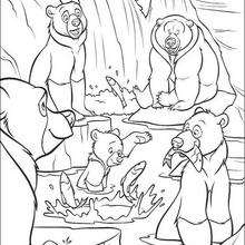 Coloriage FRERE DES OURS