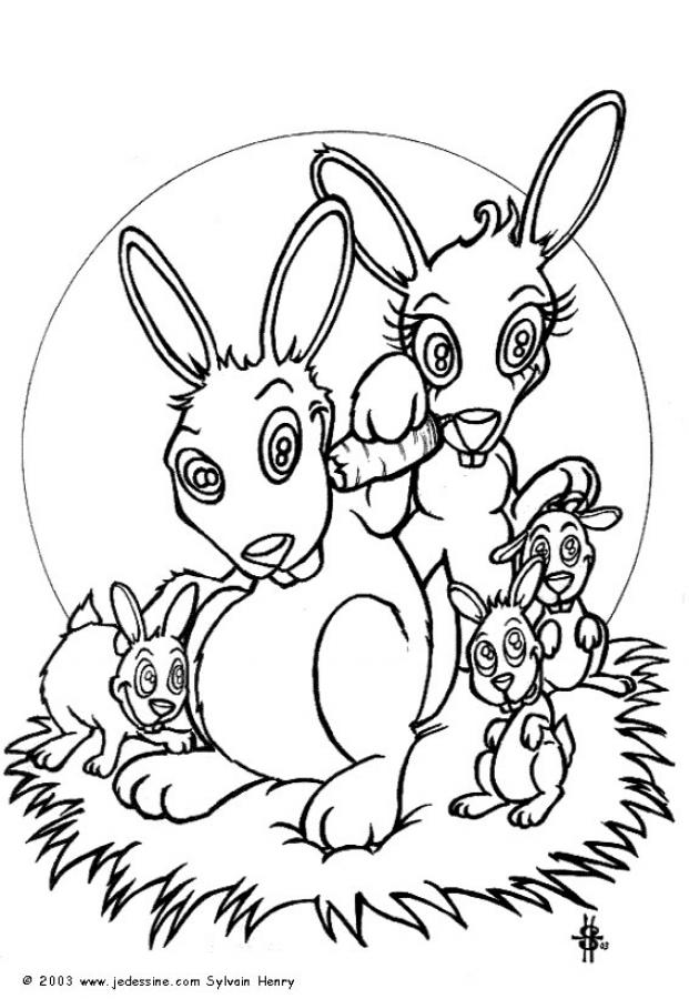 Coloriages coloriage de lapins  fr.hellokids.com