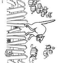 Coloriage d'un chat d'Halloween - Coloriage - Coloriage FETES - Coloriage HALLOWEEN - Coloriage HALLOWEEN A IMPRIMER