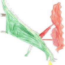 Le dragon de Florent - Dessin - Dessin DRAGON