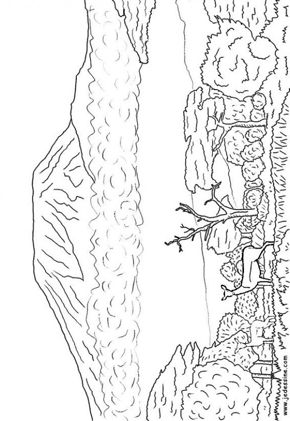 le-kilimandjaro