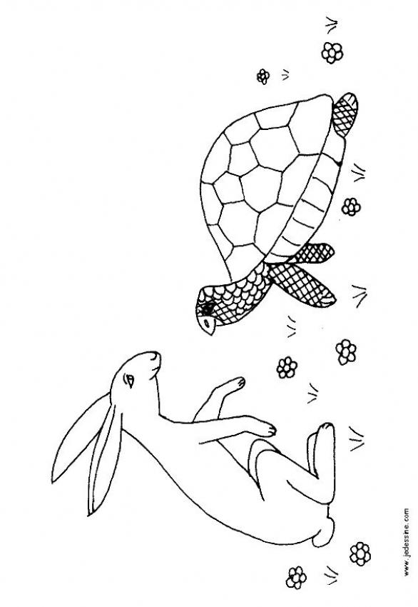 le-lievre-et-la-tortue