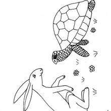 Coloriage du li�vre et la tortue - Coloriage - Coloriage ANIMAUX - Coloriage ANIMAUX MARINS - Coloriage TORTUE - Coloriages TORTUES