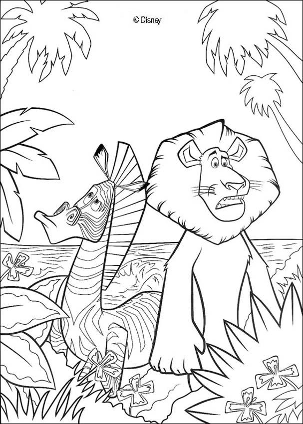 le-lion-et-le-zebre
