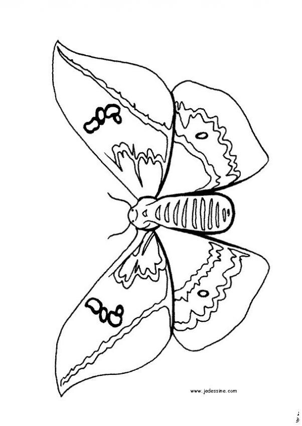 le-papillion