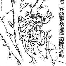 Coloriage du rormorgue masqué