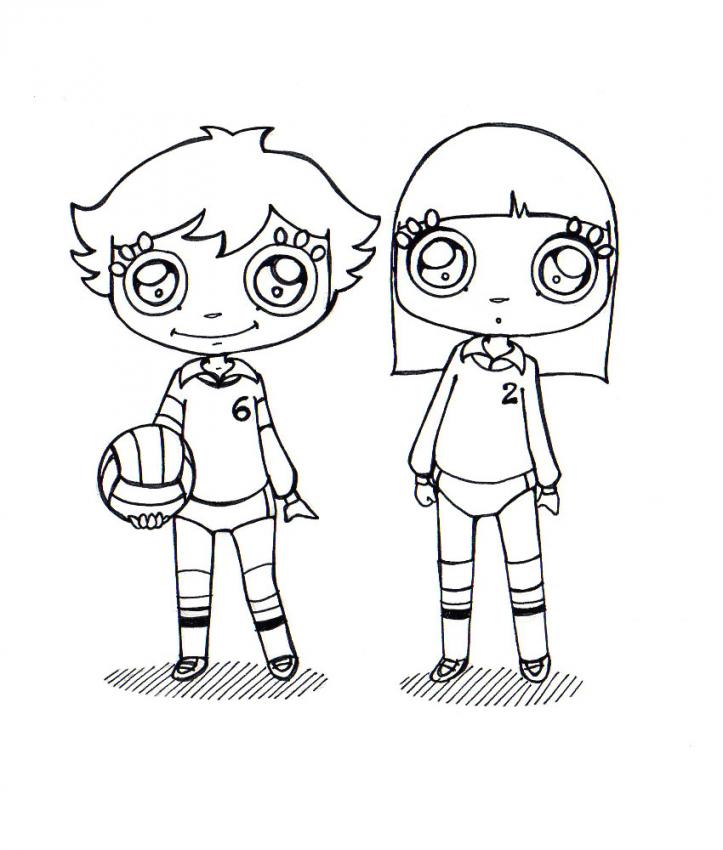 le-volleyball