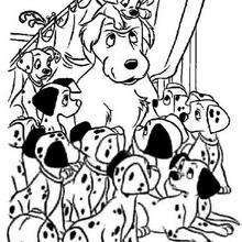 Coloriage 101 DALMATIENS