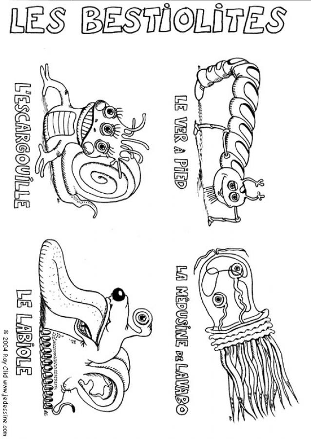 les-bestiolites