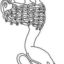 Coloriage d'un lion celte - Coloriage - Coloriage FETES - Coloriage HALLOWEEN - Coloriage HALLOWEEN A IMPRIMER
