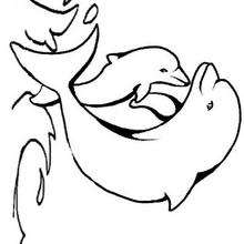 Coloriage de Maman et bébé dauphin - Coloriage - Coloriage ANIMAUX - Coloriage ANIMAUX MARINS - Coloriage DAUPHIN