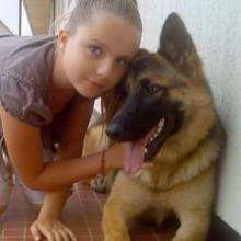 Mieux connaitre ton chien