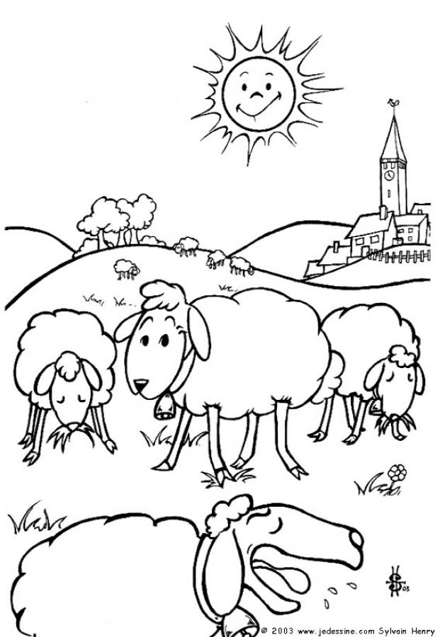 moutons