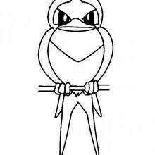 Nirondelle - Coloriage - Coloriage POKEMON