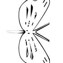 Coloriage d'un papillon N°20