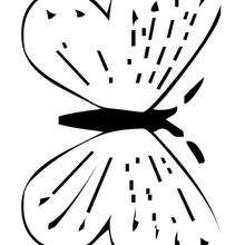 Coloriage d'un papillon N�21 - Coloriage - Coloriage ANIMAUX - Coloriage INSECTE - Coloriage PAPILLON