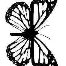 Coloriage d'un papillon N°3