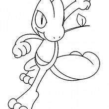 Arcko en position d'attaque - Coloriage - Coloriage POKEMON